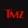 TMZ Small Logo